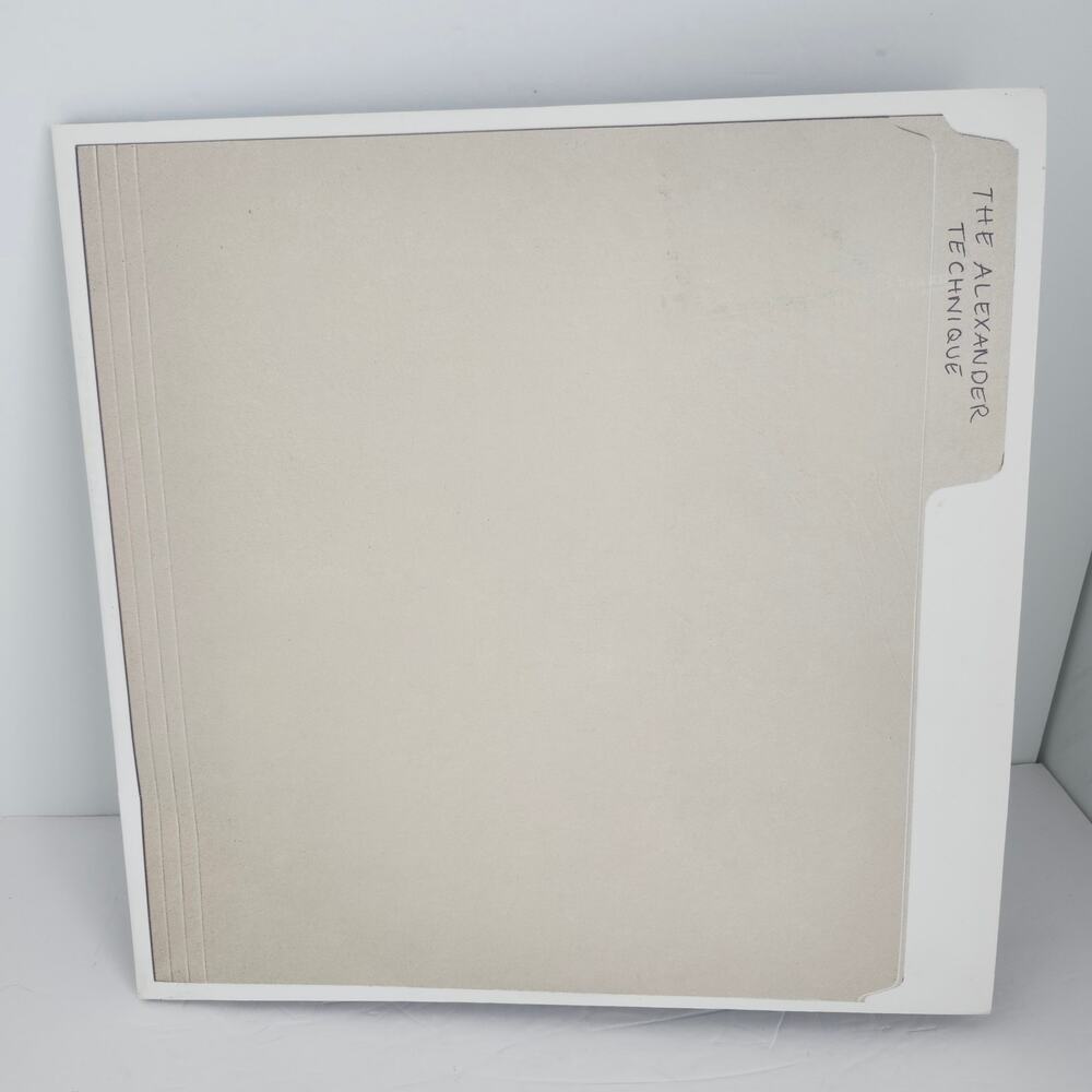 Rex Orange County Alexander Technique Vinyl LP Rock 2 Album Explicit Content